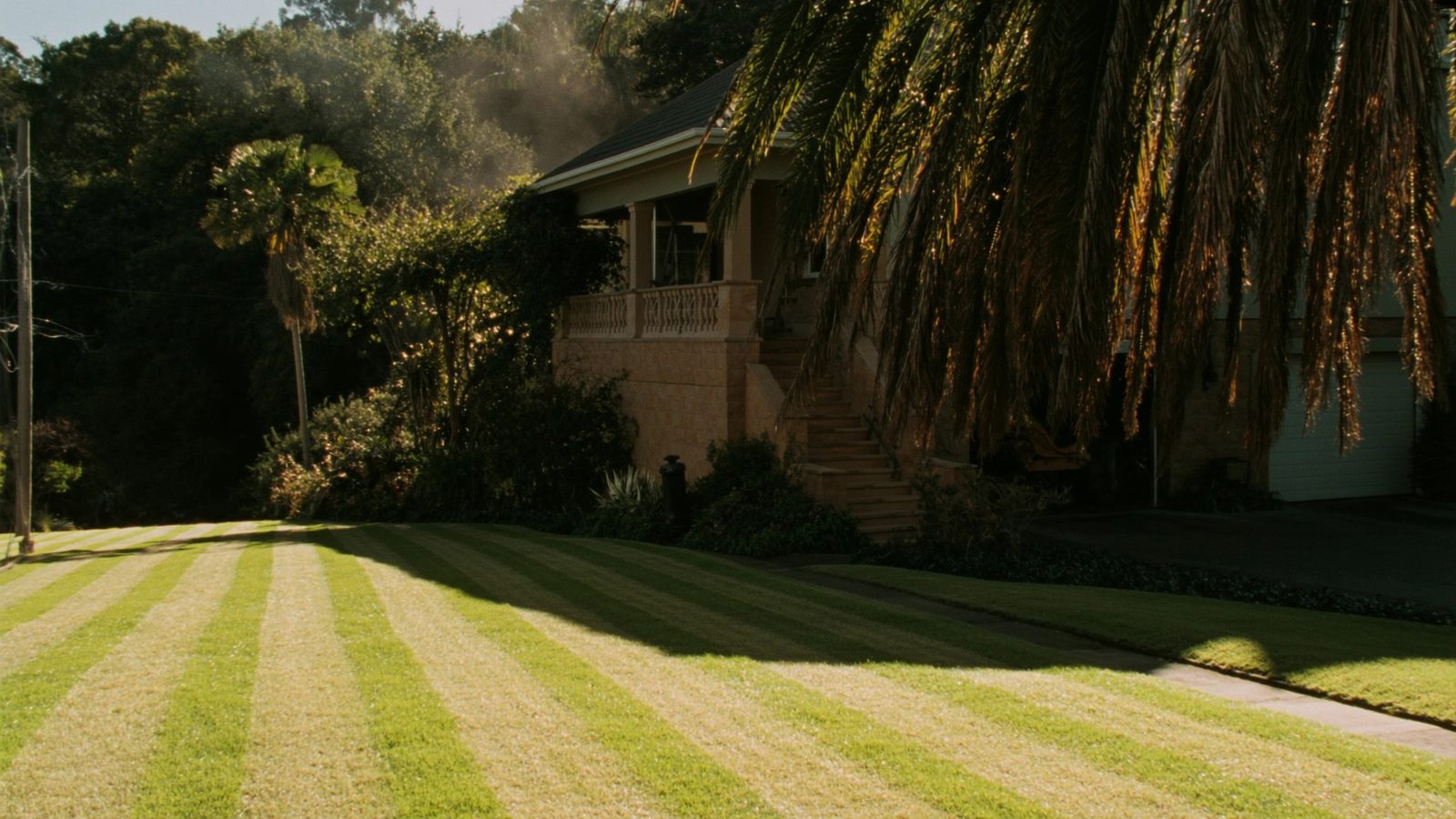 Freshly mown buffalo lawn with crisp stripes in a Mackay backyard
